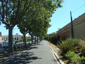 Pradet-Carqueiranne_208